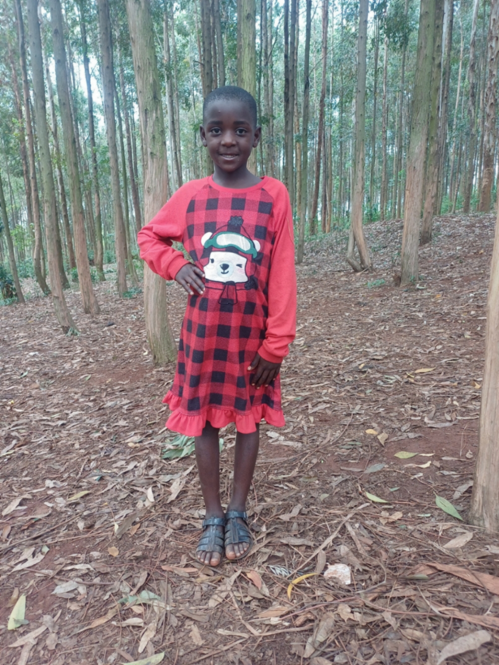 에디사 이라투린제