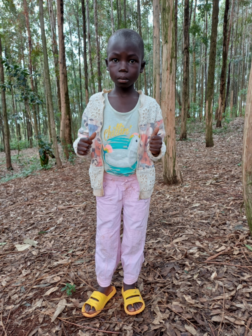 오베 고메즈젠게