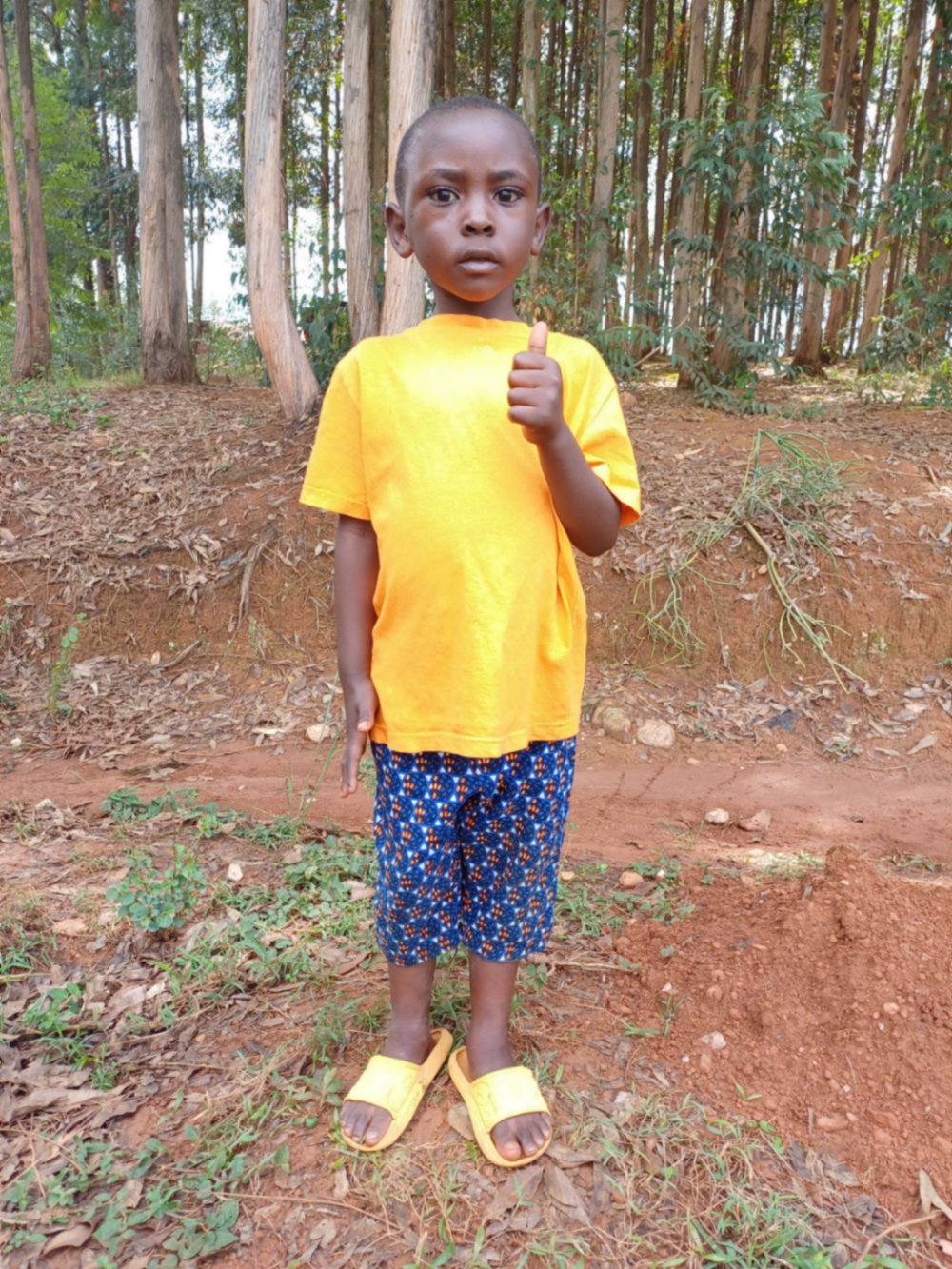 은자이센가 클라우드