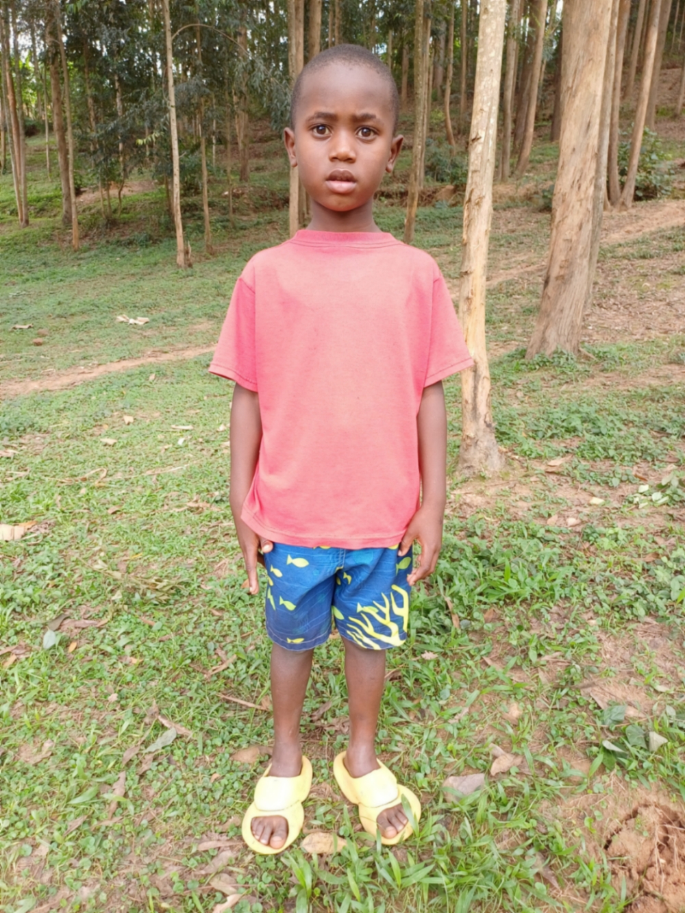 응기즈웨나요 알렉스 가쿠루