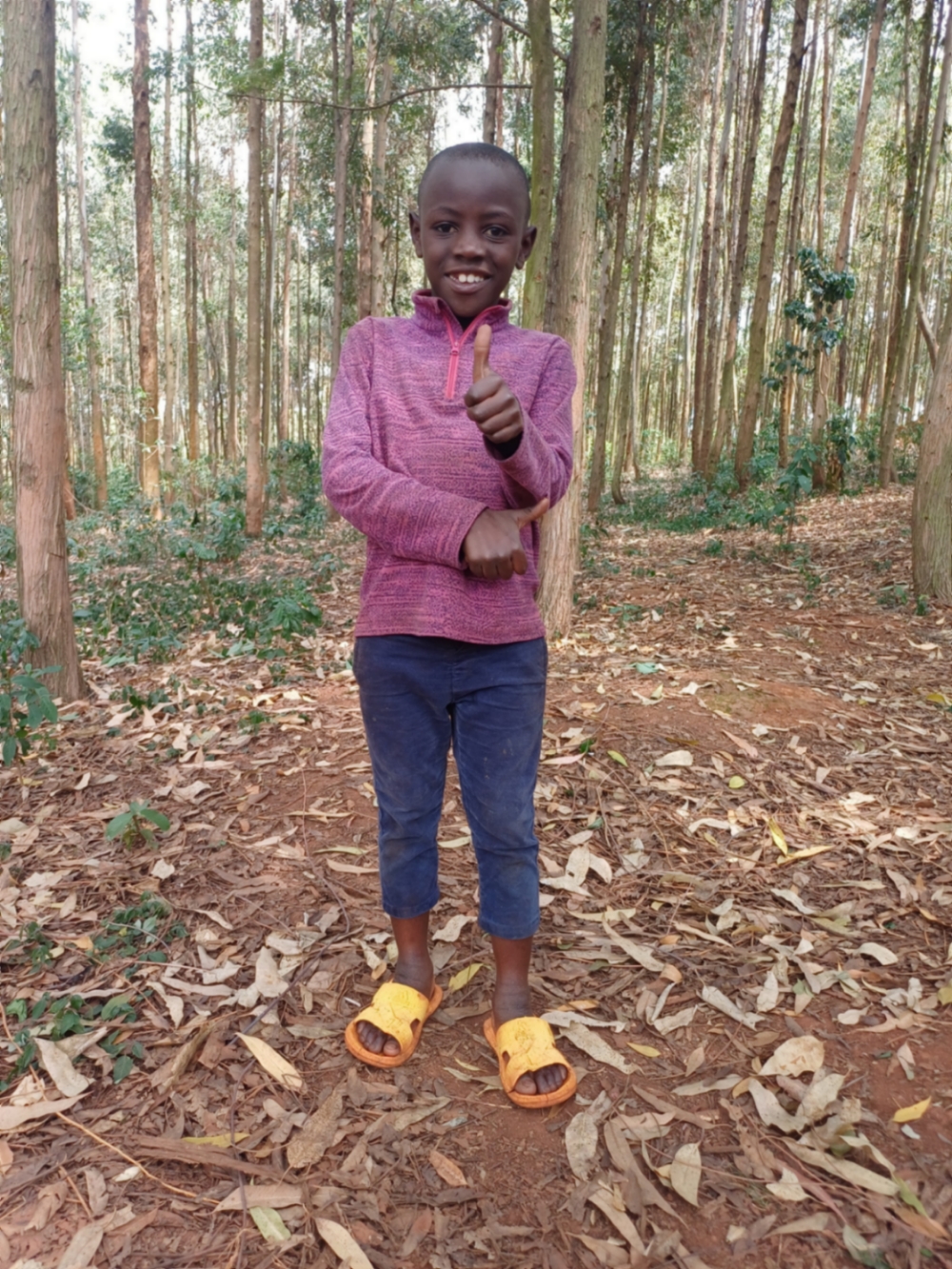 에보데 니요무키자