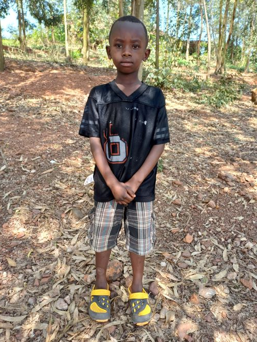 프레드 이라수비자