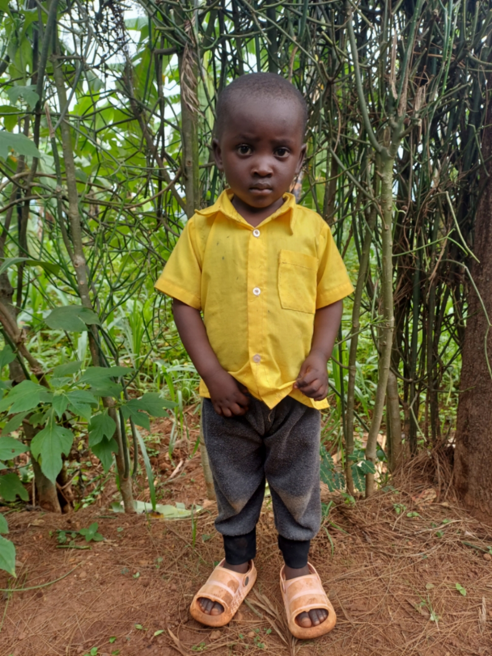 이브라힘 이지브요세