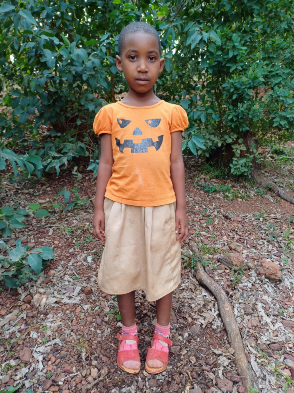 브리알란테 니심웨