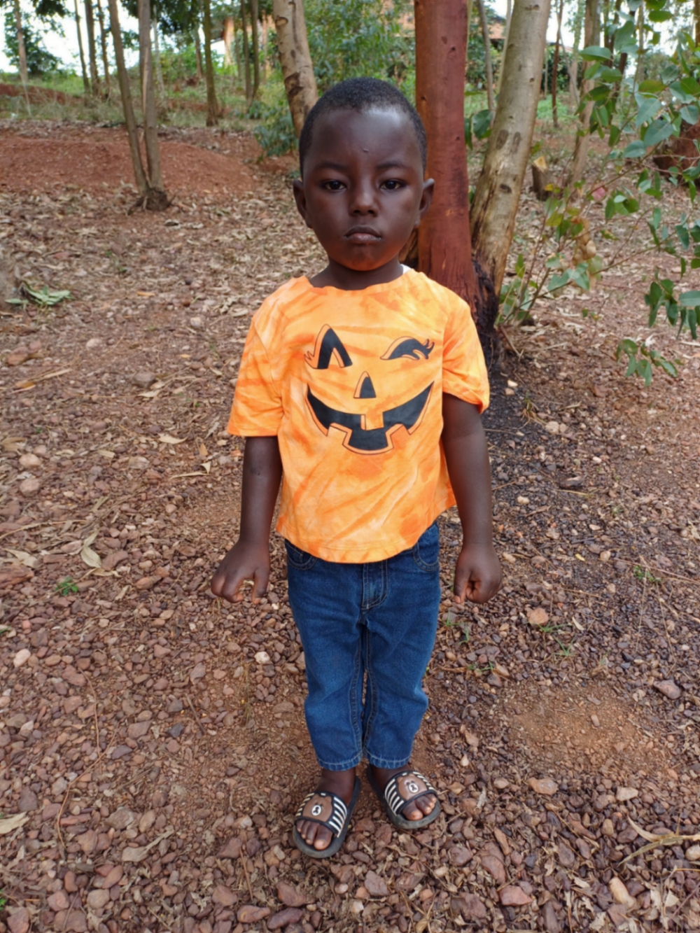 이투즈 프라이스 프린스