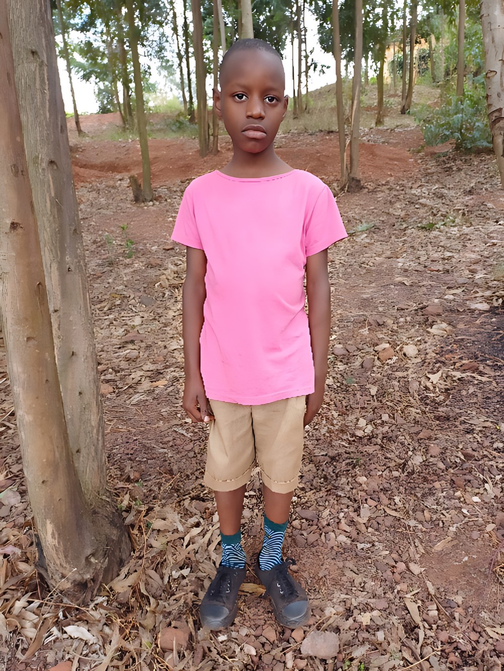 레미에 니욘센가