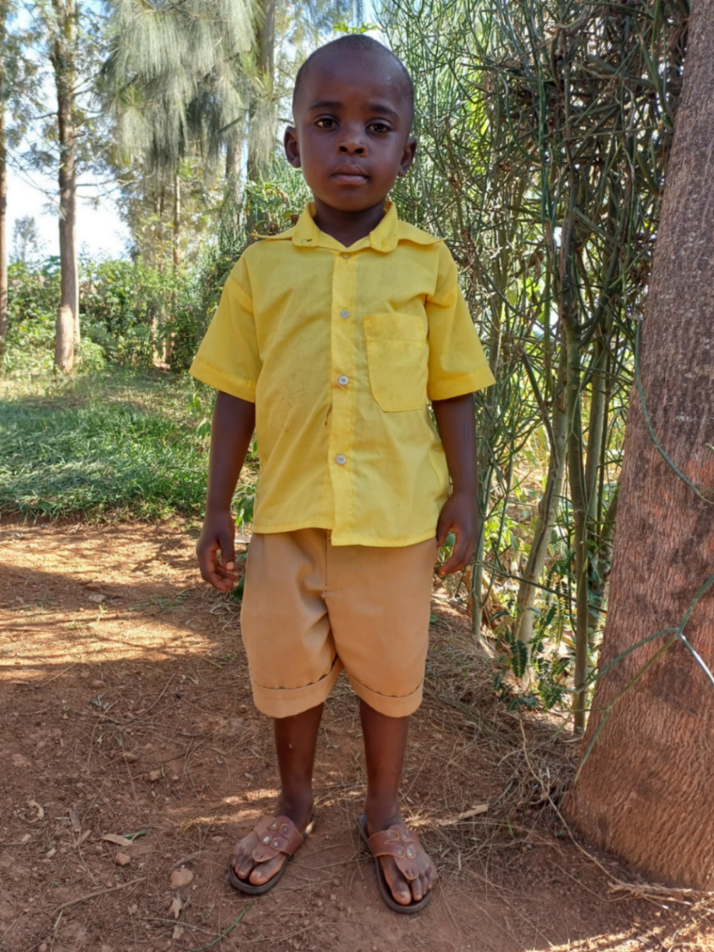 자와힐리 무기샤