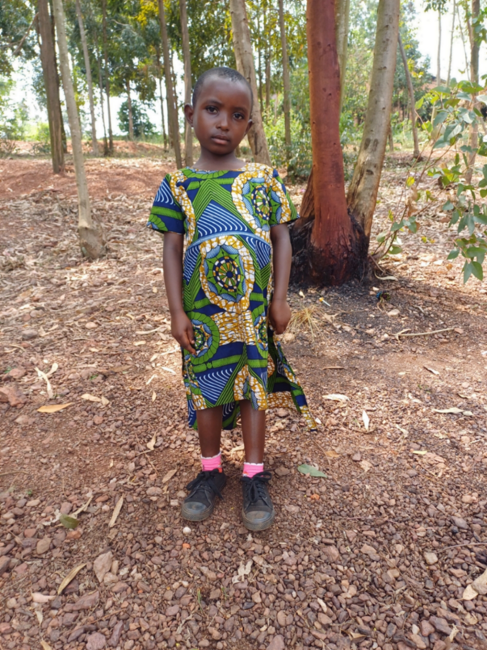 올리브 니요기수비조