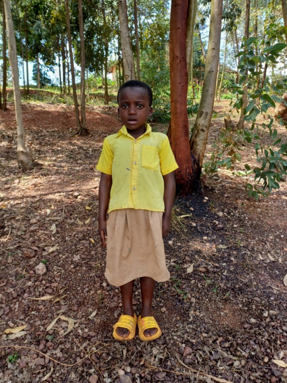 호르넬라 지호조