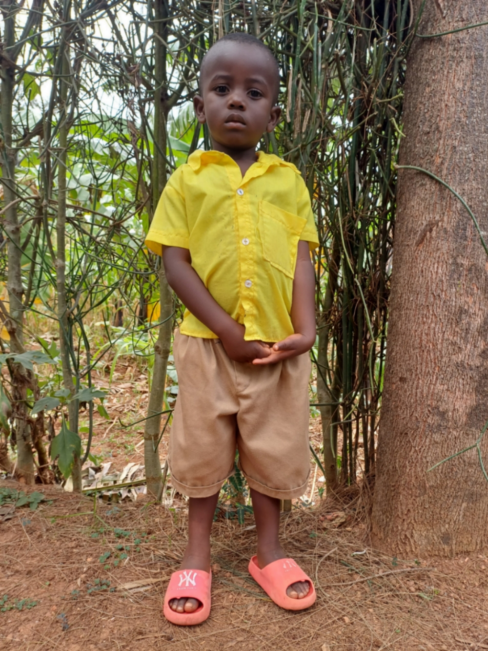 트레소 하비얌베레