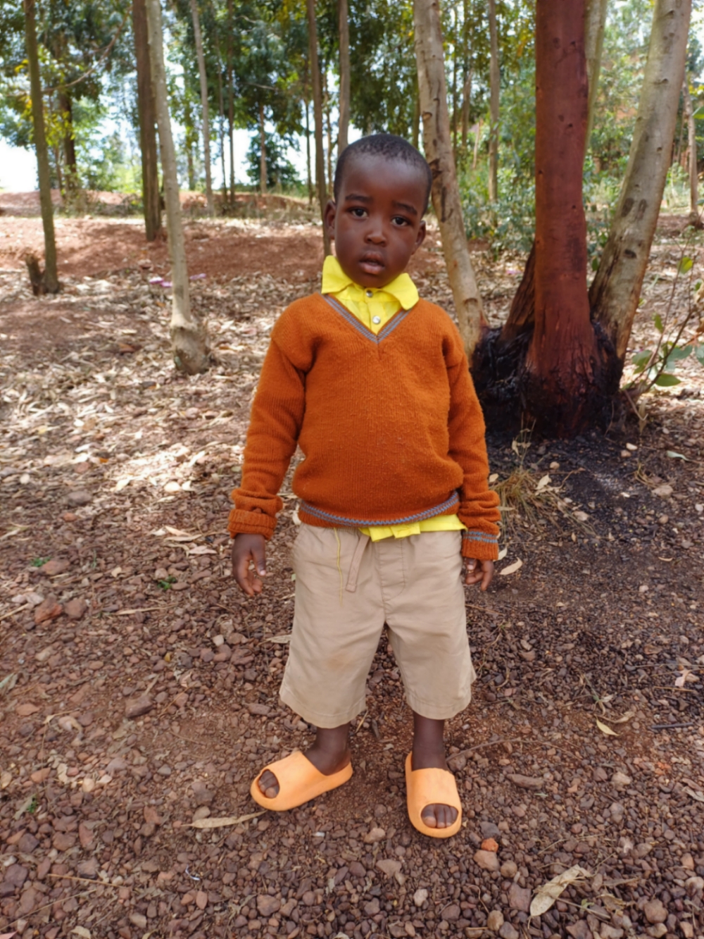 올리비에 이비샤카