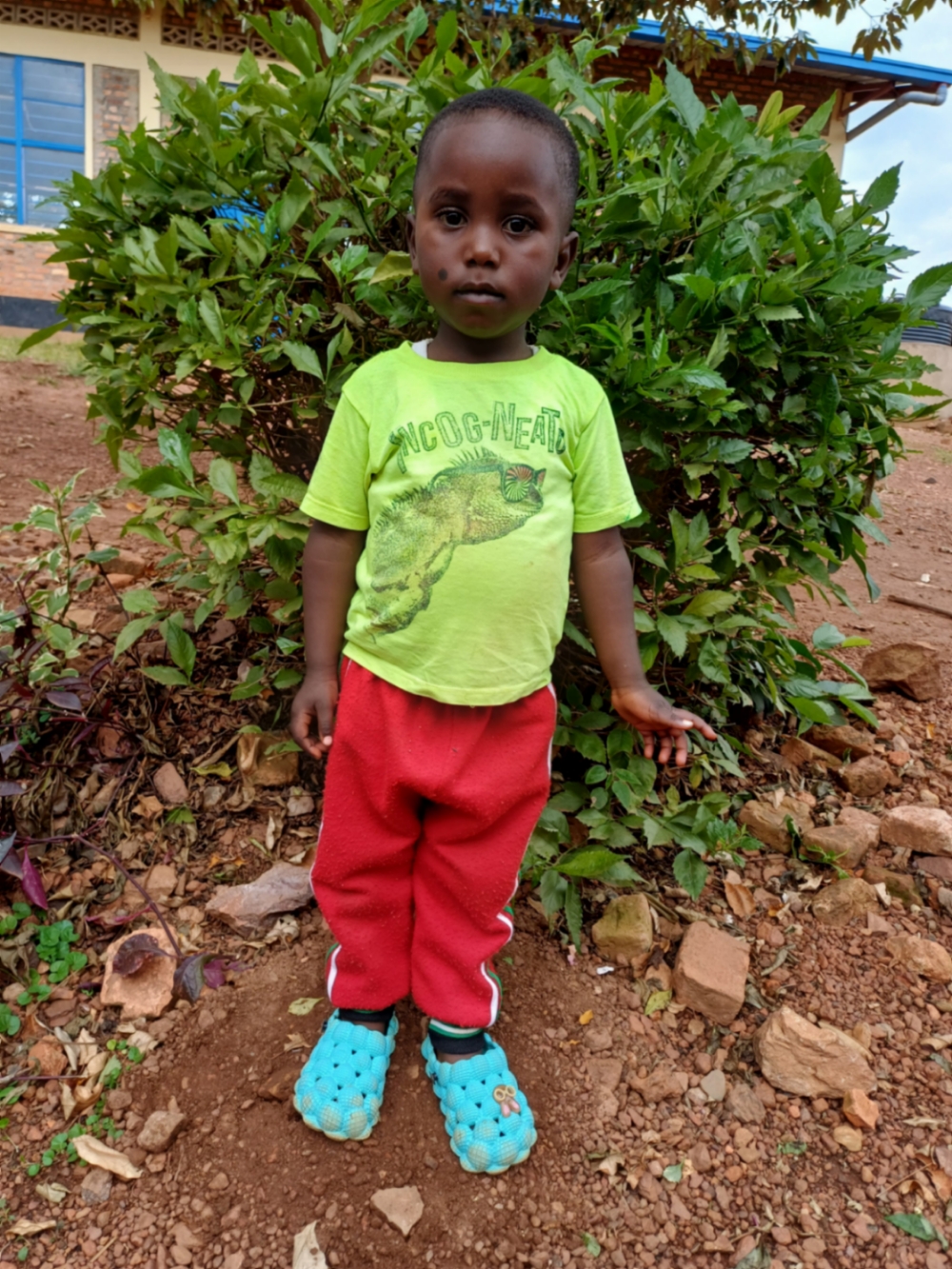 살바토르 미코미이자