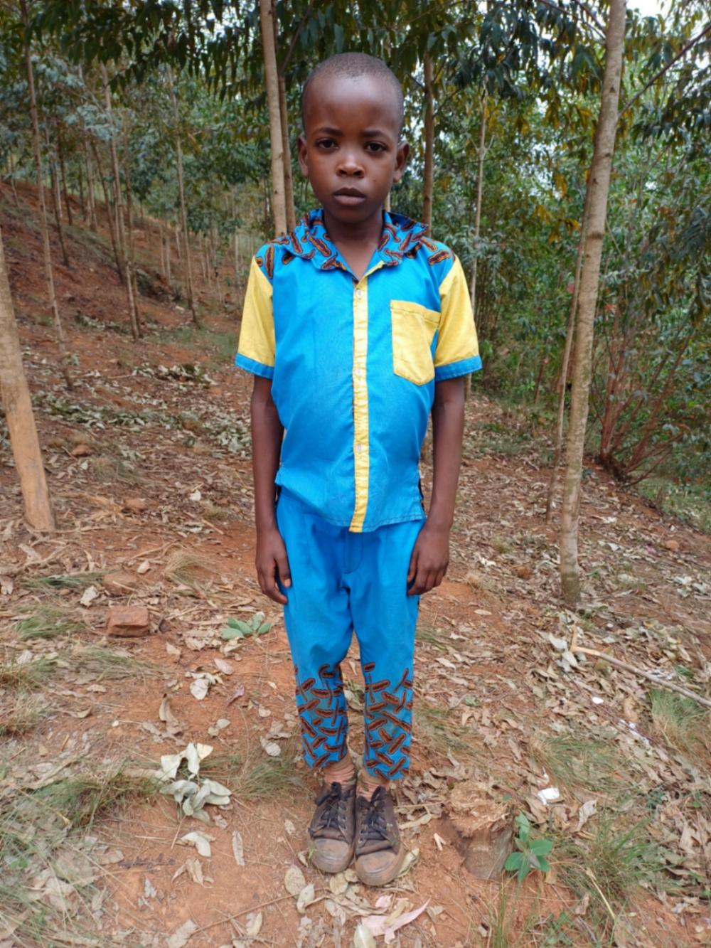 엘리세 투이센게