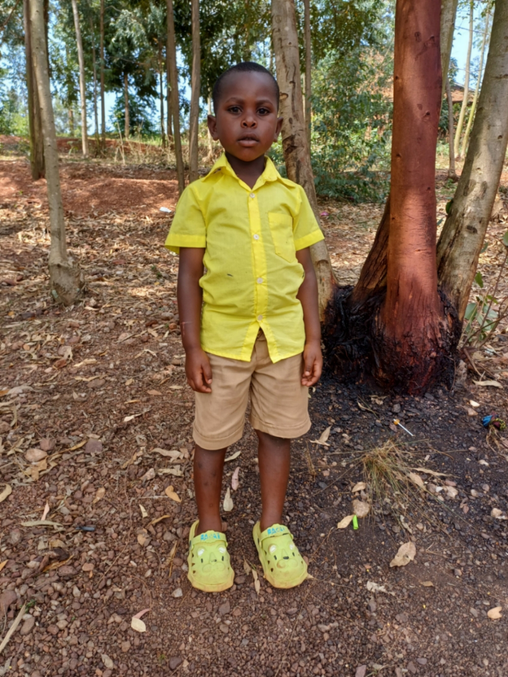 파시피크 니요무렌게지