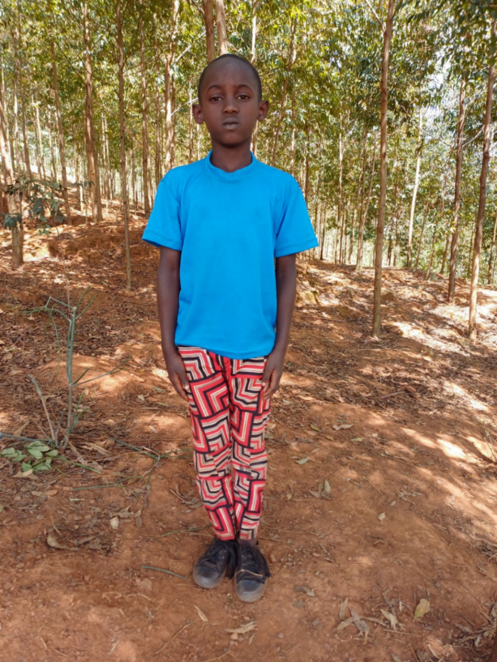 비이린기로 클로드