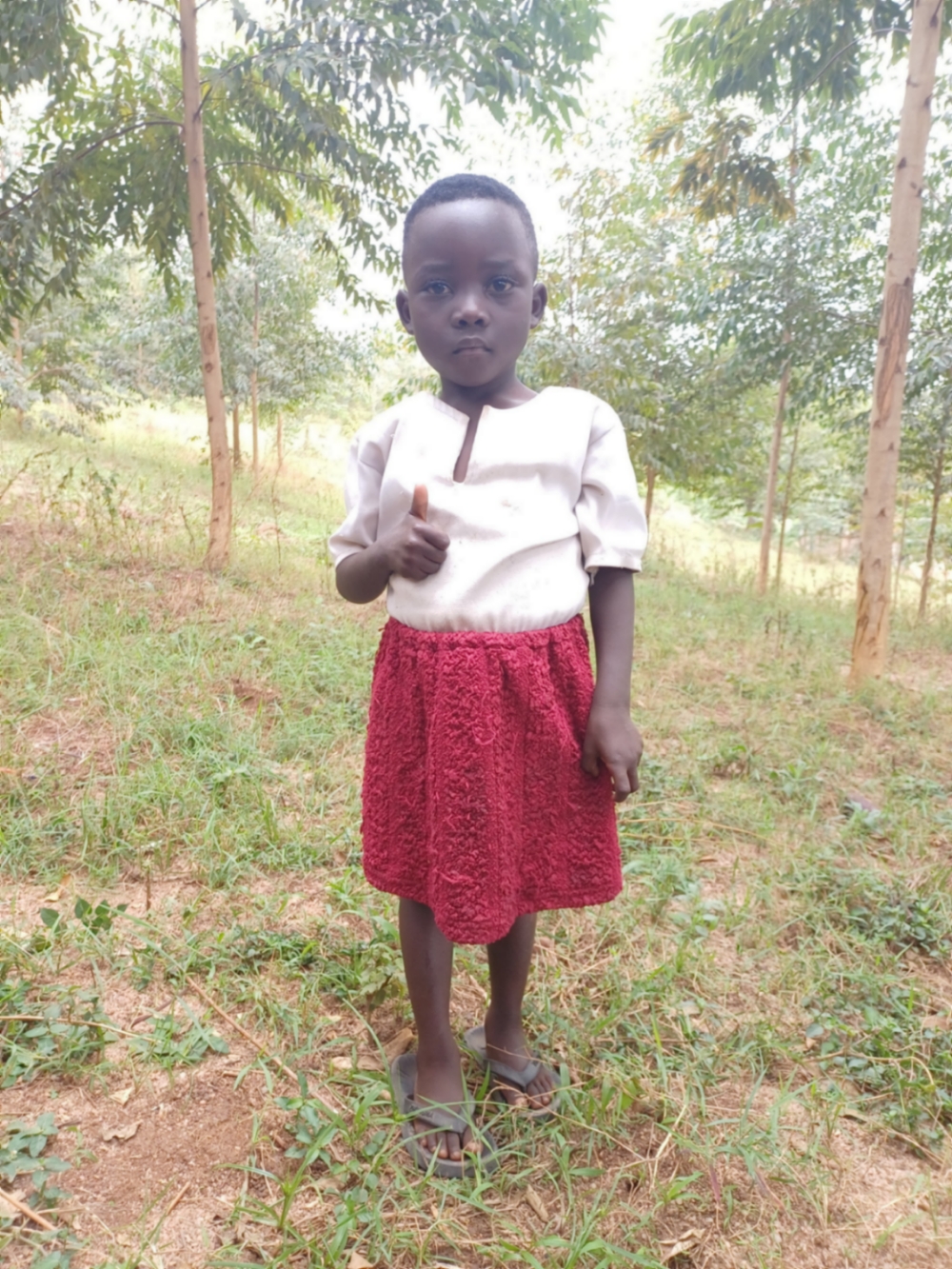 플로렌티네 니요기수비조