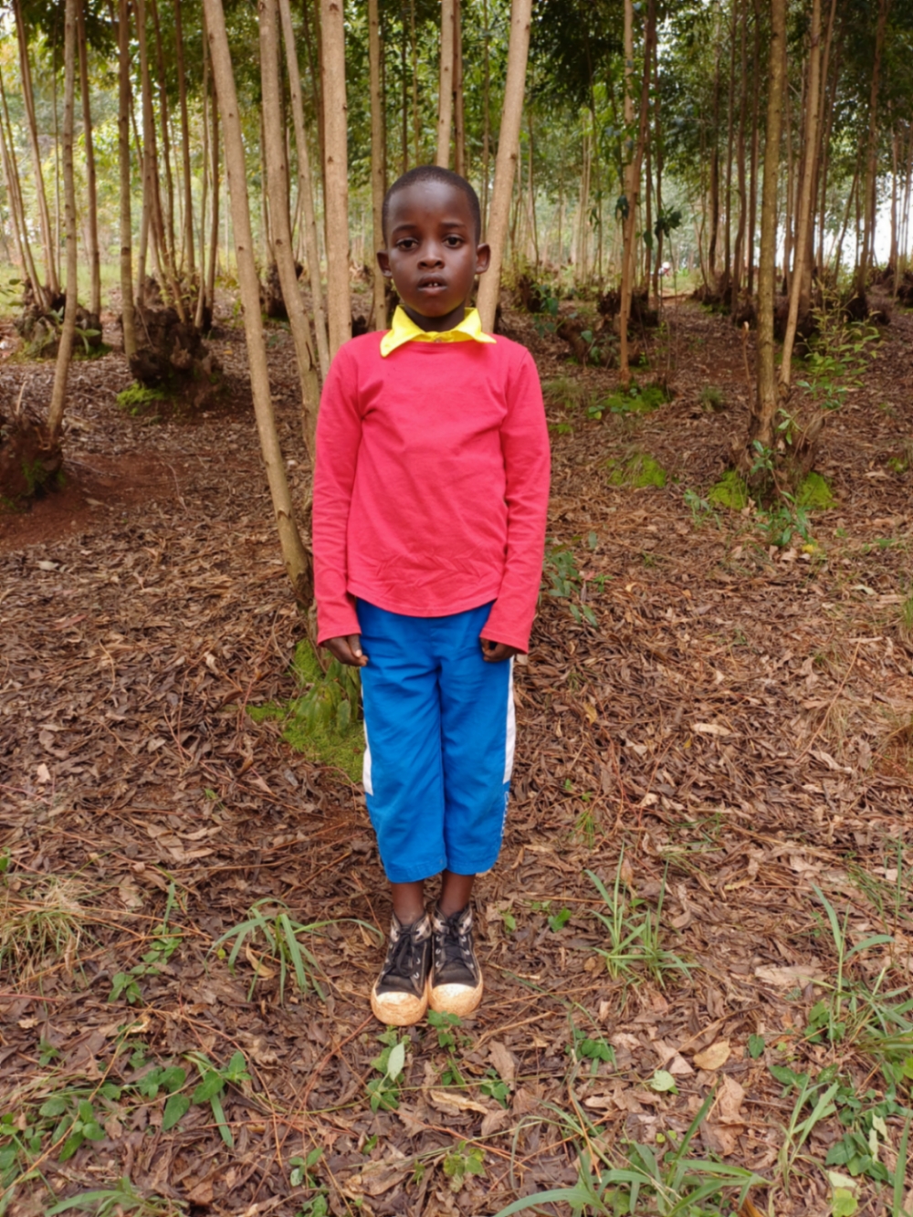 투이람예 원포어