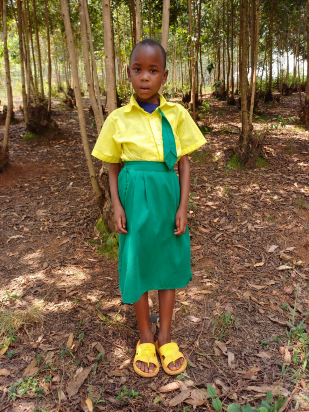 이라수비자 로시네