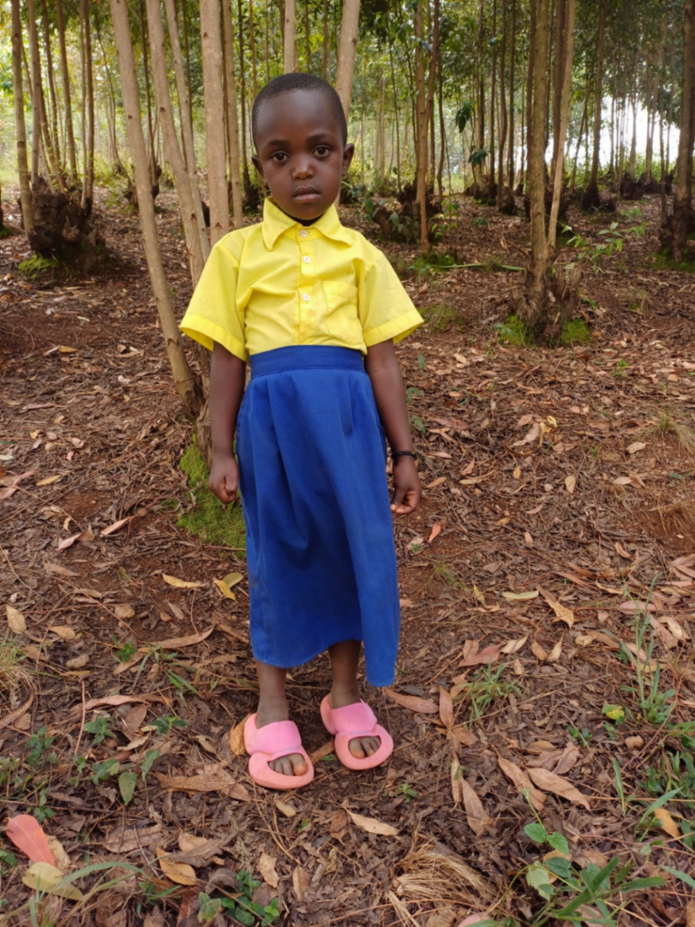 베니타 시우주조