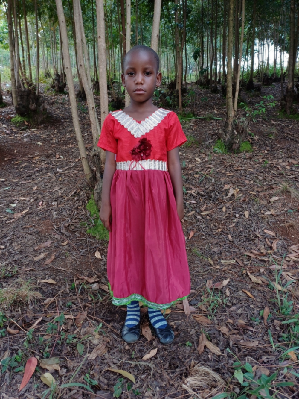 니요야비코제 에기디에