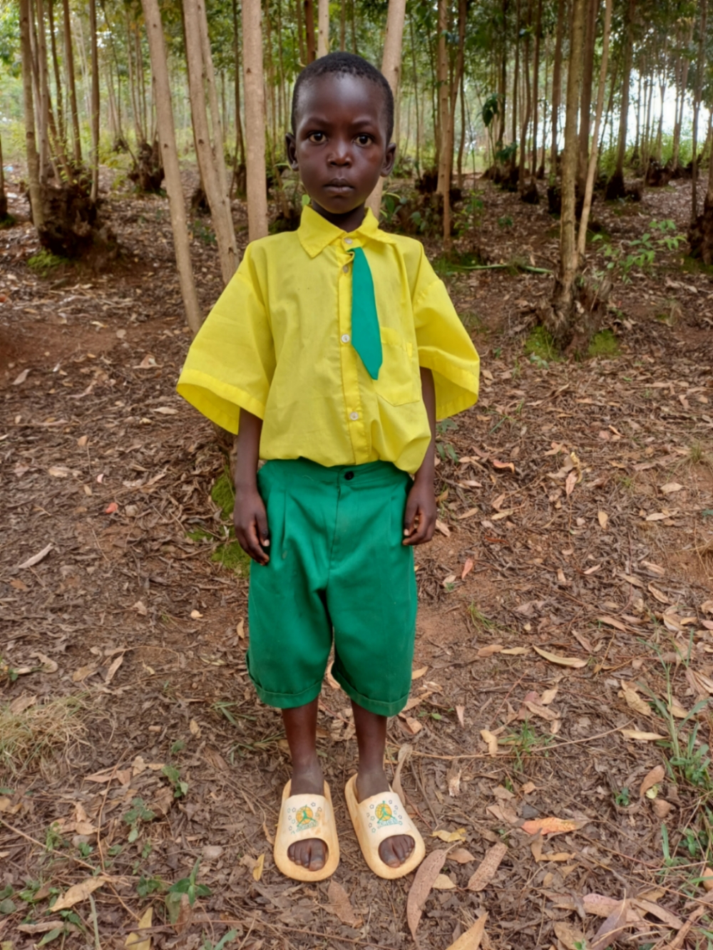 무기샤 디외돈네