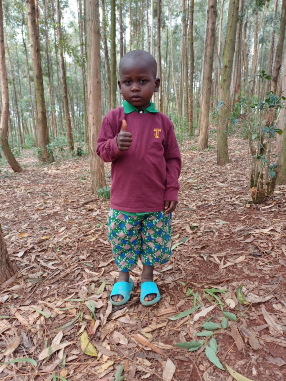 알퐁스 니제이마나