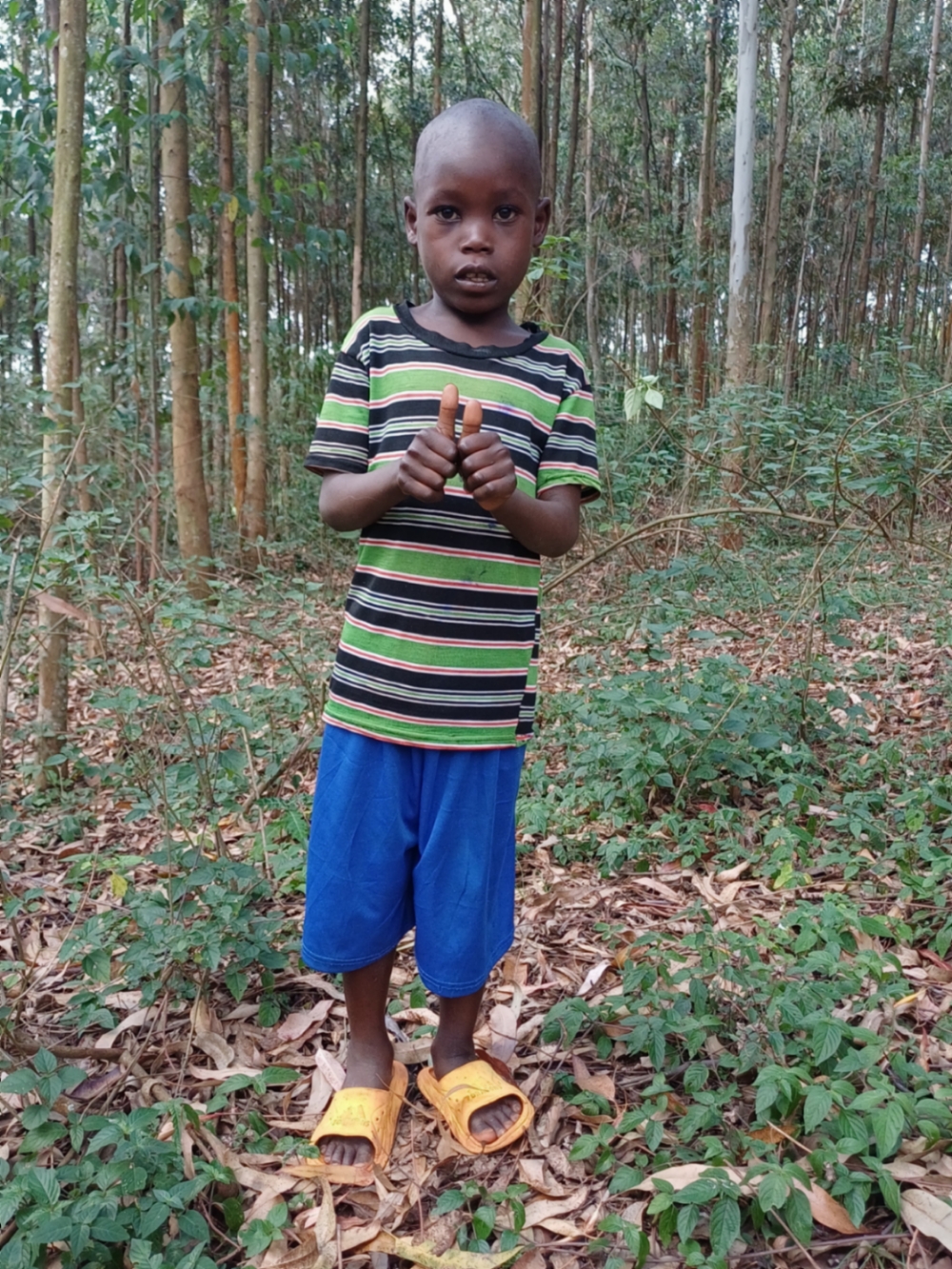 장 드 듀 이라비지