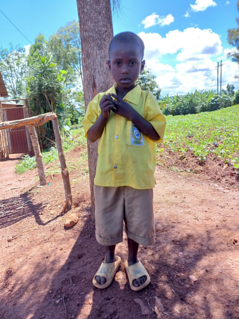 이쇼보라뵤세 이쇼보라뵤세