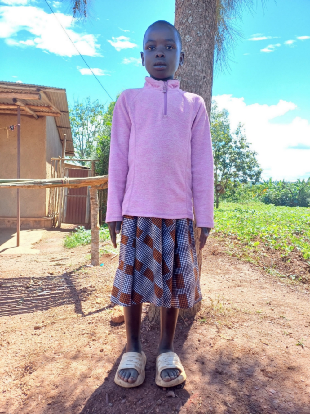 데보타 우와마라이카