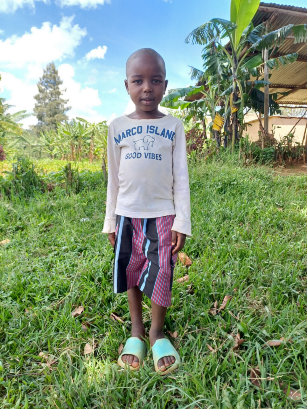 엘리아스 하테게키마마