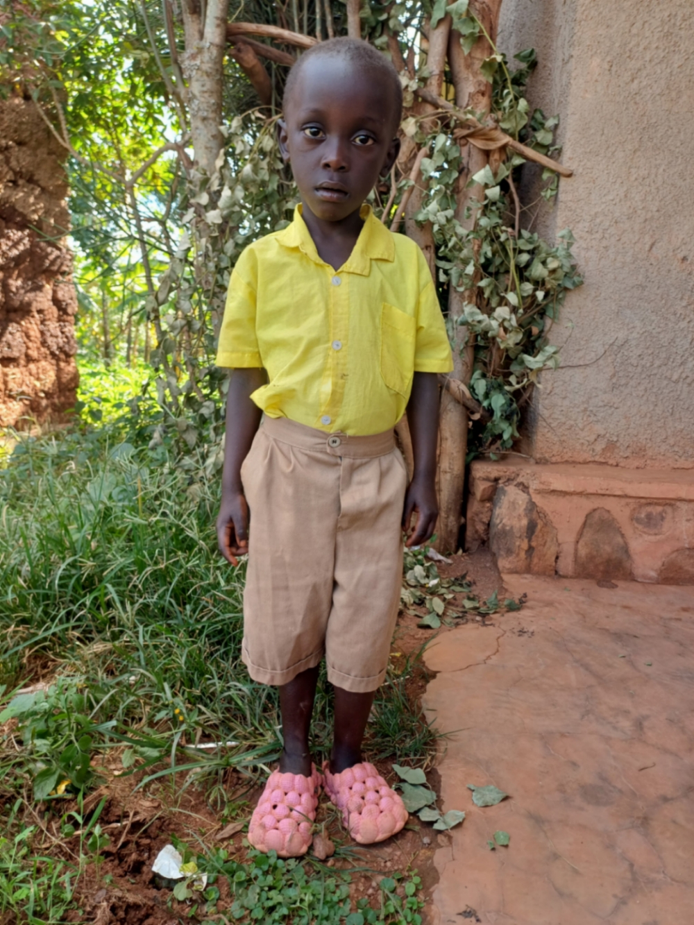 다비드 니요야비부제