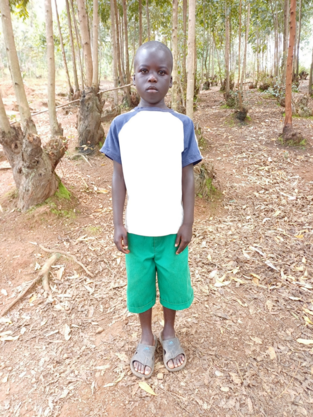 엘리세 이라파샤