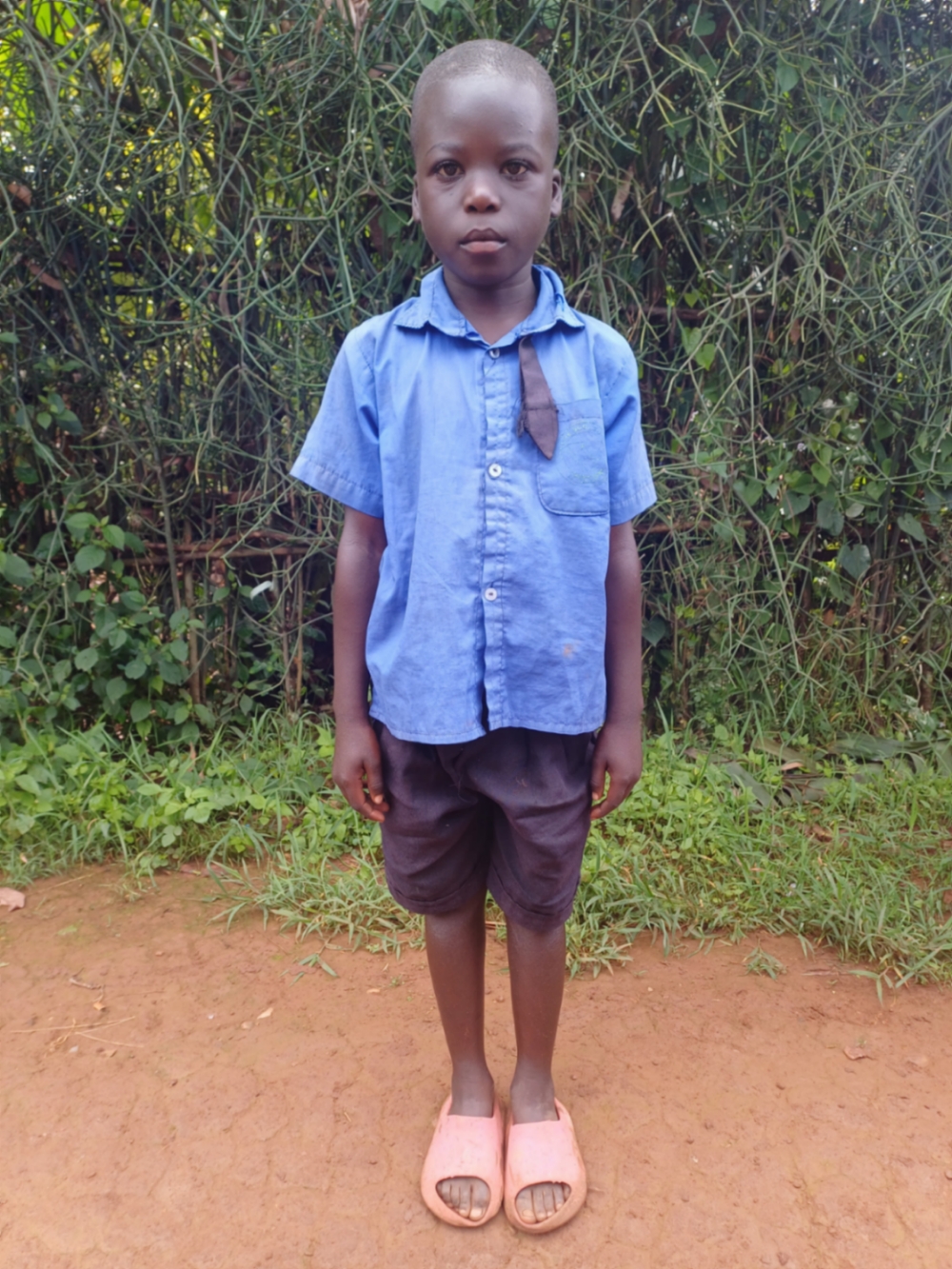 엘리세 이라파샤