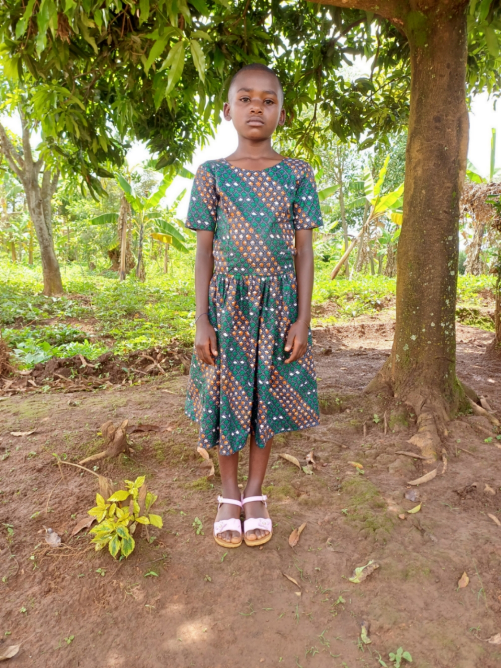 베니타 무토니와세