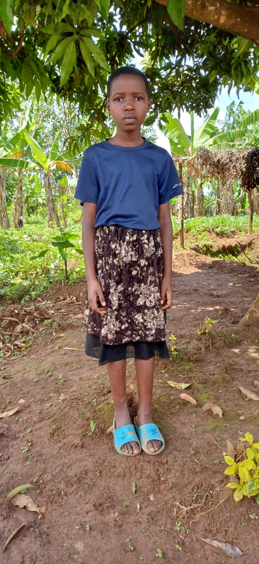 니요뵤세 나이스