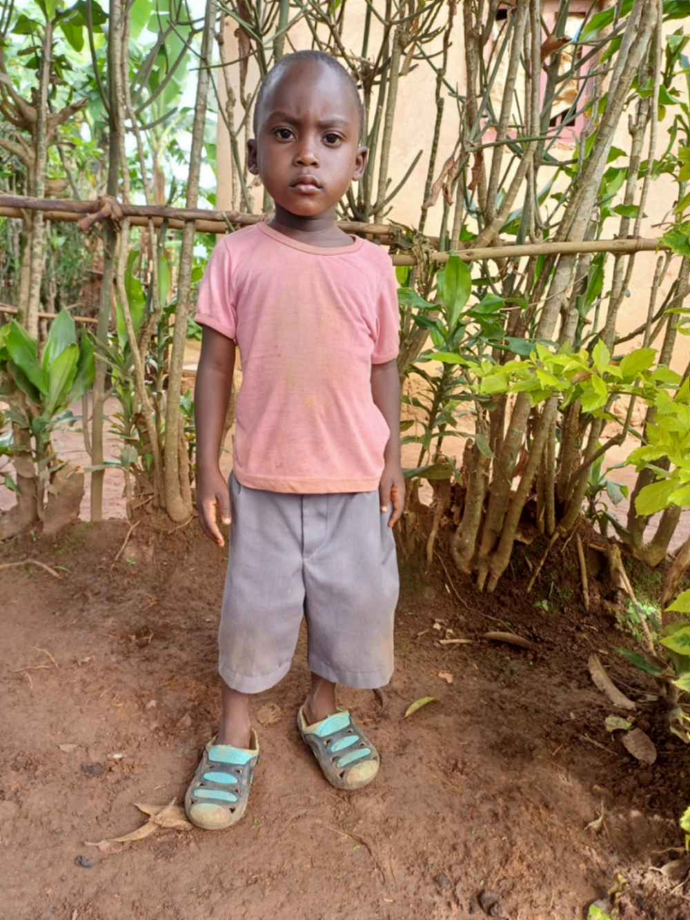 에이메 이라코라