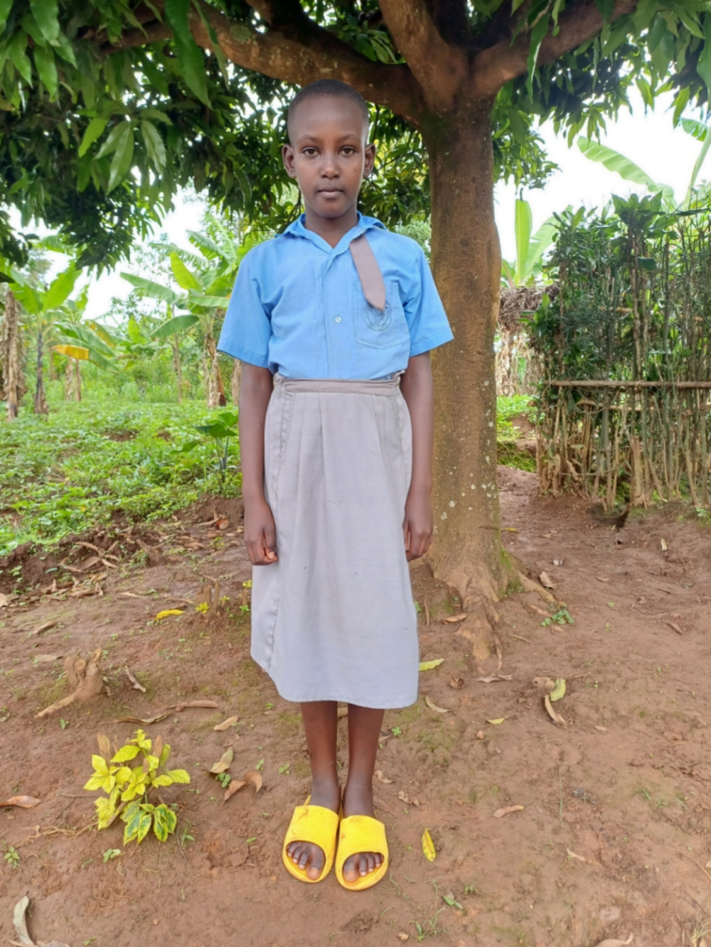 펠리스 무레카테테 테타 아미지