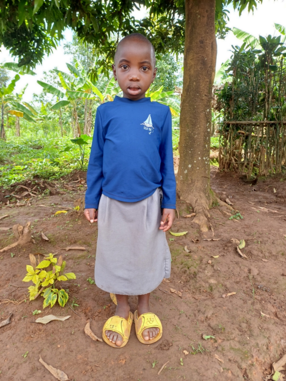 에이메 다니엘라 이시므웨