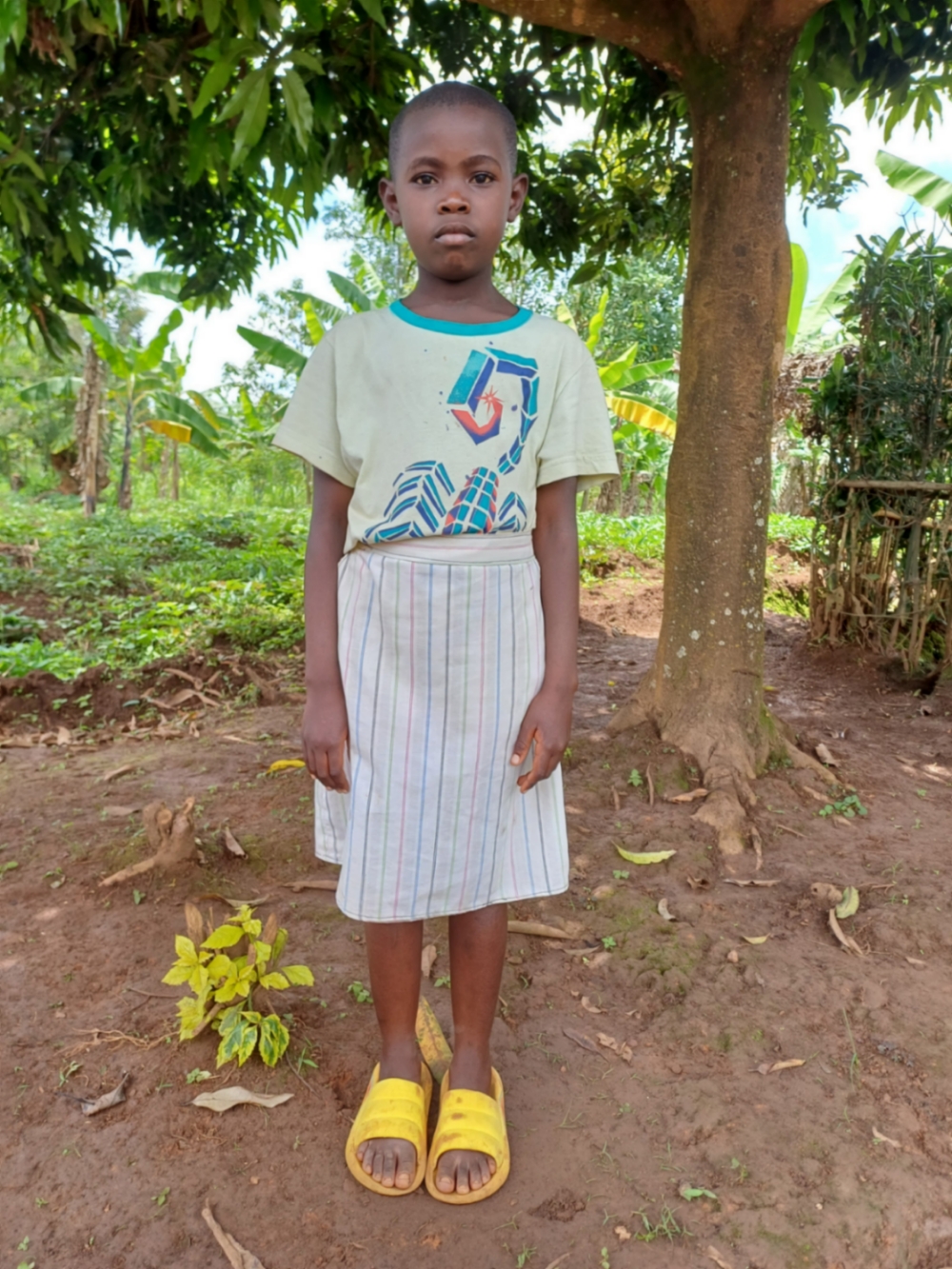 앙주 아바이셍가