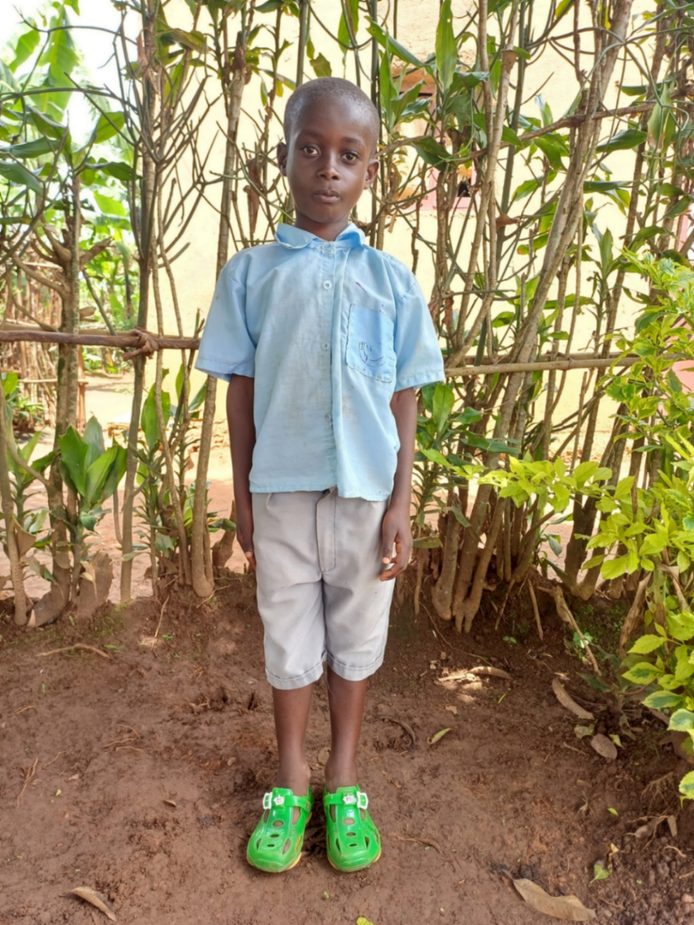 알렉스 두쉬미리마나