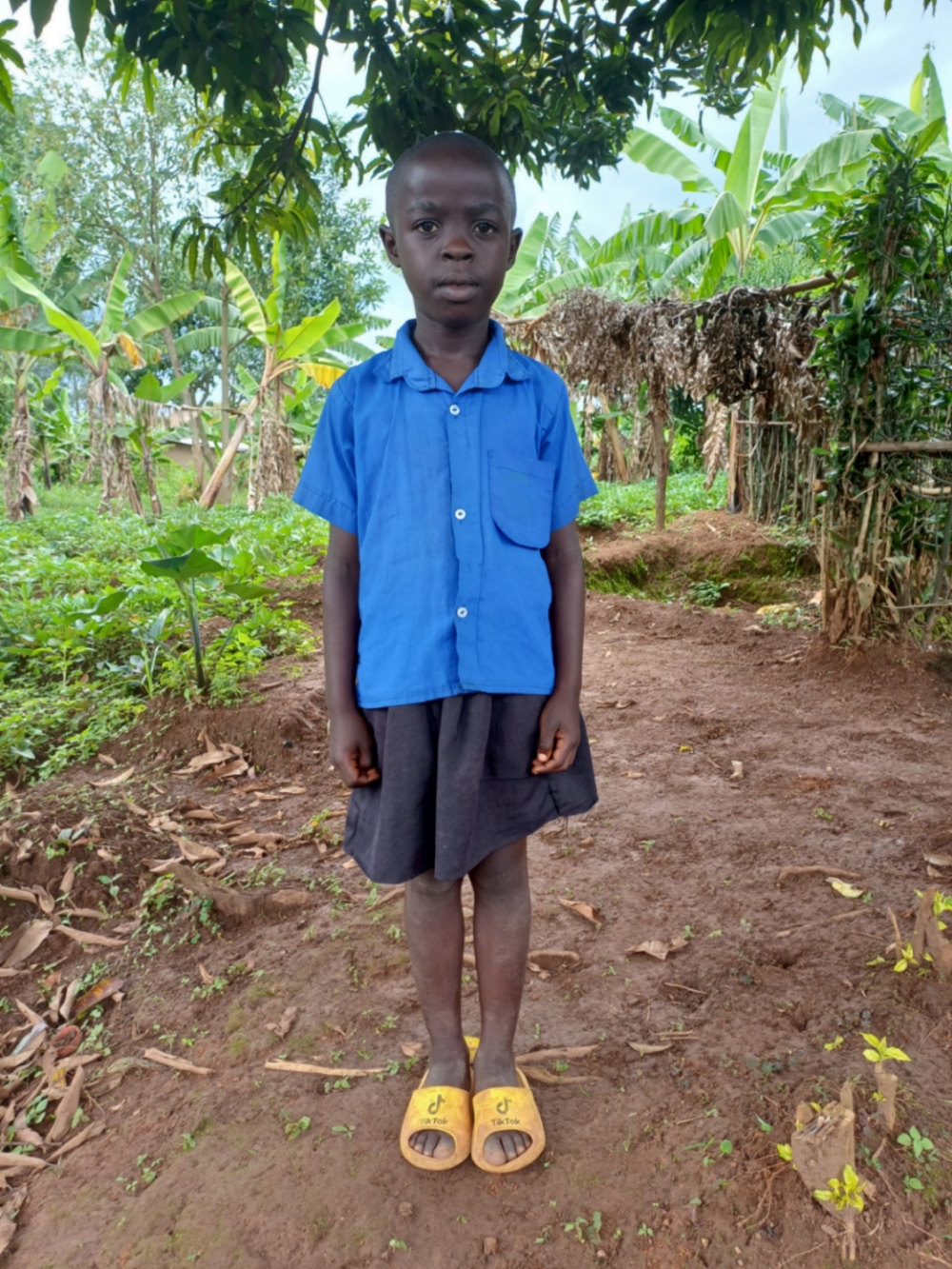 프리다우스 이네자 심와