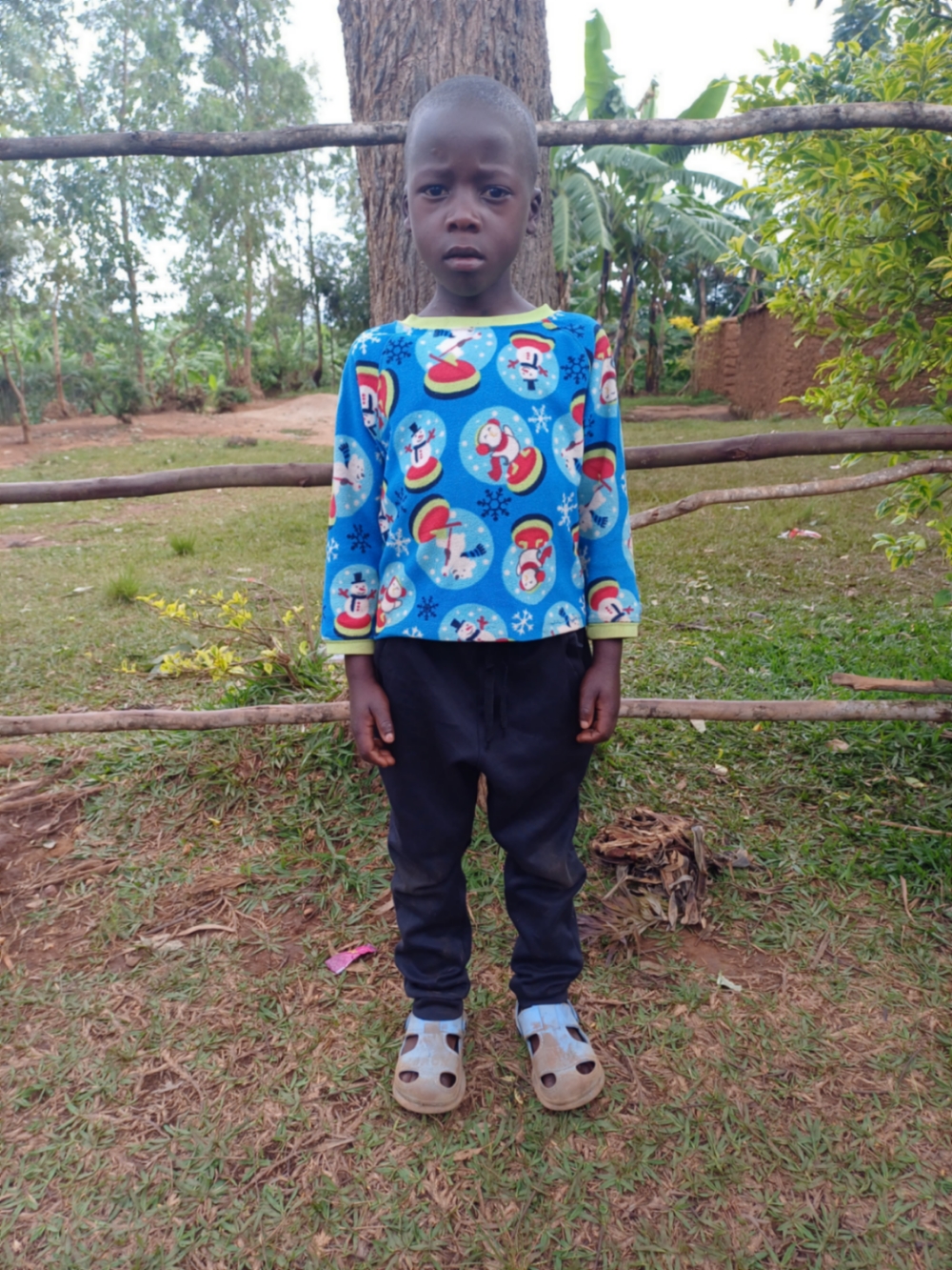 이스라엘 이라쇼보예