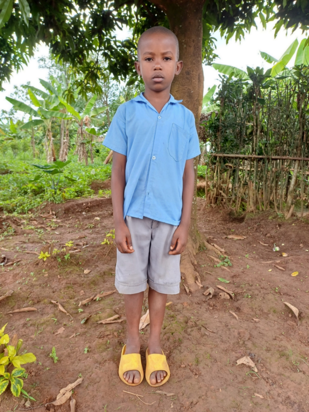 슈쿠르 이쿠조 이위항안예