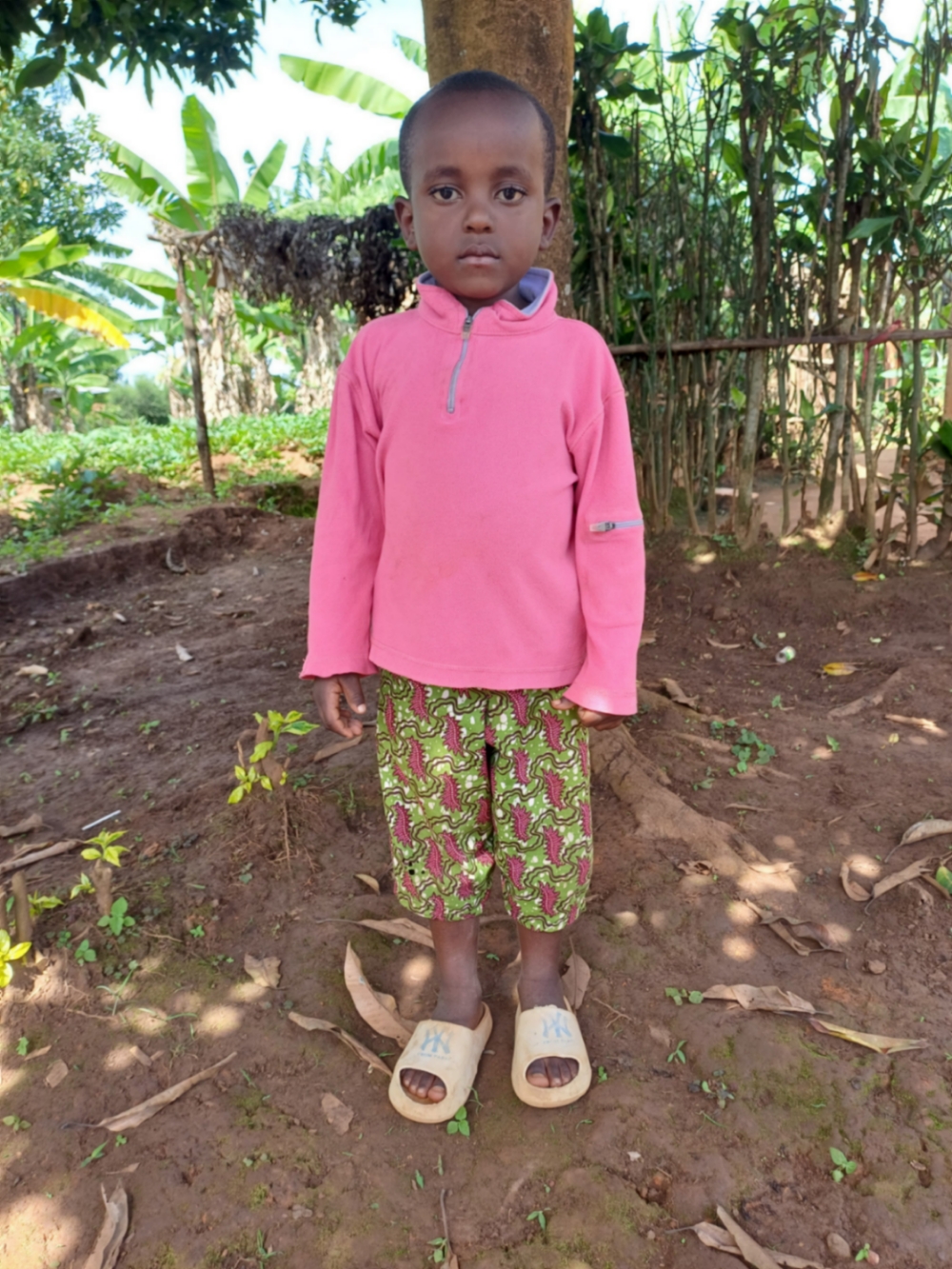 펠릭스 아바시 코리비유브와미