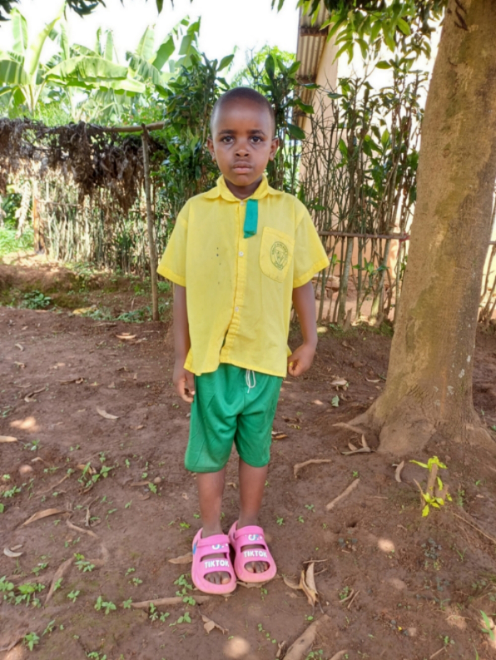 오르넬라 이심비