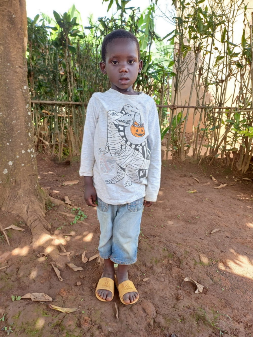 엘리아 두피티마나