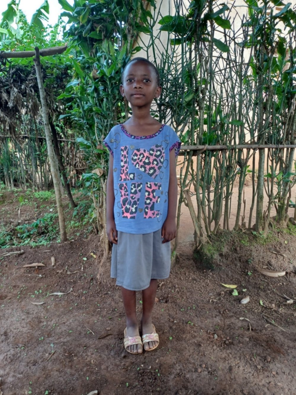 로진 우피테예주