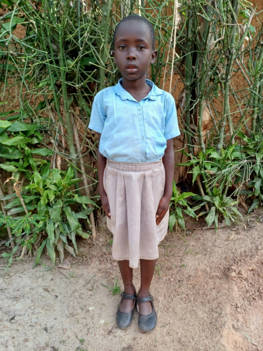 르뎀프타 이라코제