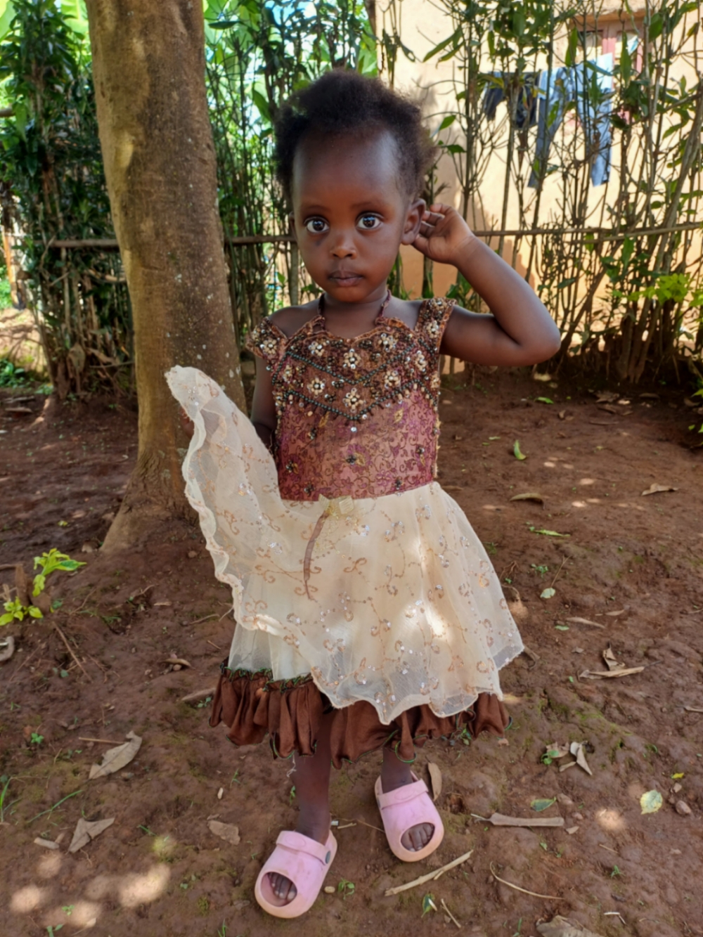 라얀 이야세 투이시미레