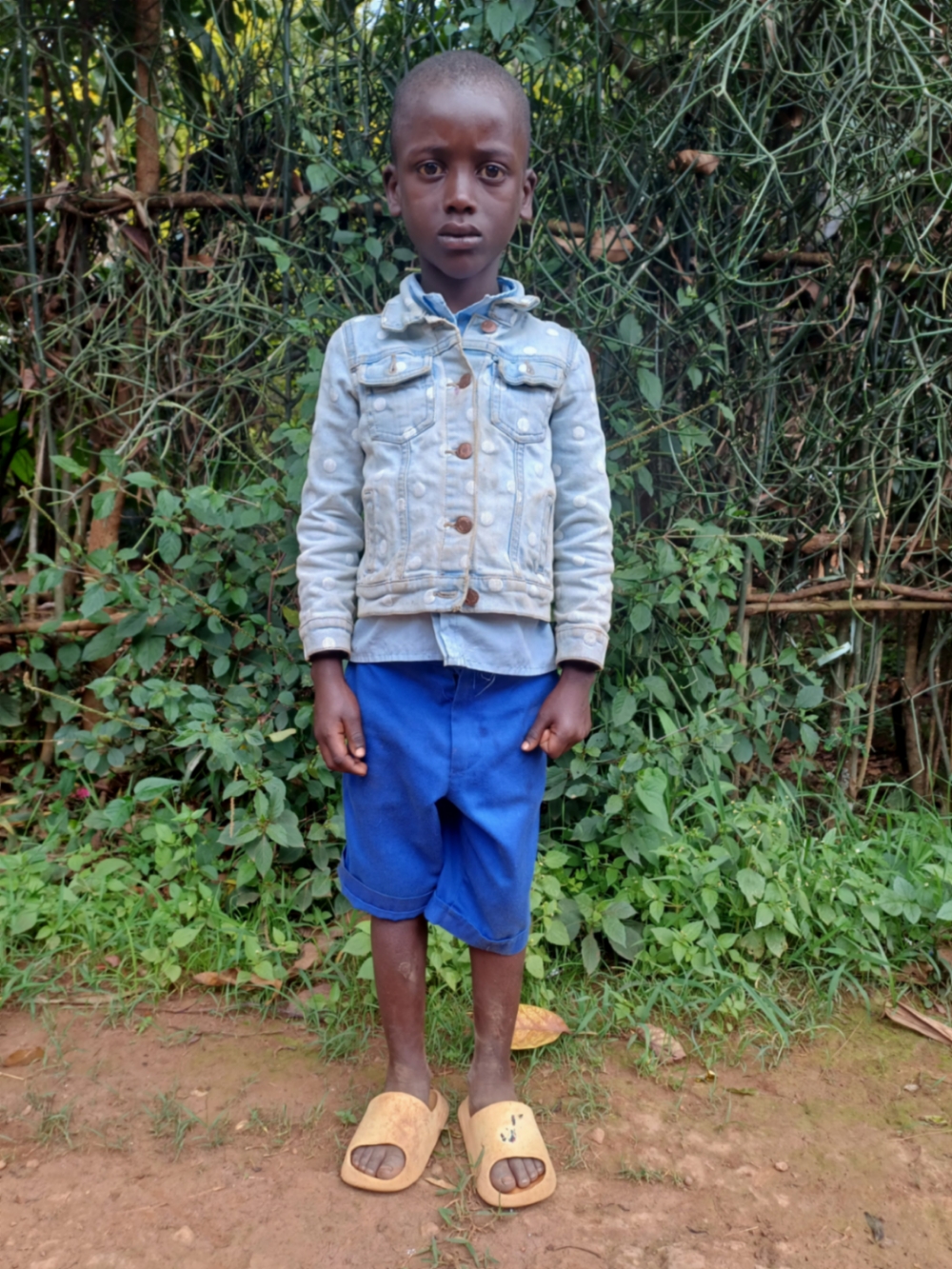 데비스 기사 은두무키자